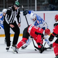 jesenice hokej cortina 25 af