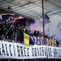 viole maribor