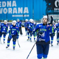 slovenija hokej