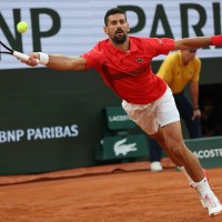 novak 