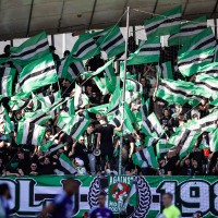 Green Dragons