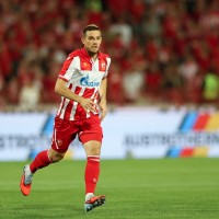 timi max elsnik crvena zvezda pm