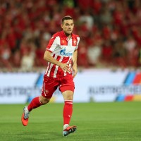 timi max elsnik crvena zvezda pm