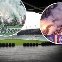 stozice dragons viole