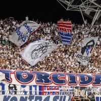 hajduk torcida pm