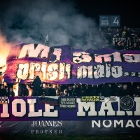 viole maribor