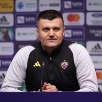 feđa dudić