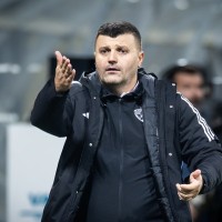 fedja dudic