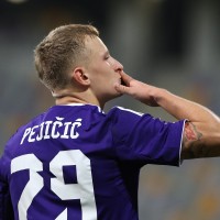 david pejicic