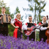 Ansambel Štravs