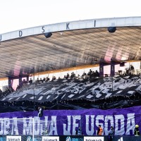 viole ljudski vrt vecni derbi