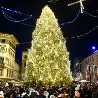 ljubljana prizig luci lucke 2025 - !!V Ljubljani bo do konca leta, kot vsako leto, pestro na štirih