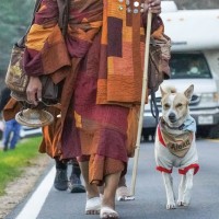 Danes skupaj z 19 menihi iz Teksasa hodi proti Washingtonu na 3.700 kilometrov dolgi poti, s katero širijo sporočilo miru, enotnosti in sočutja