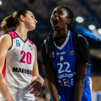 cinkarna celje maribor