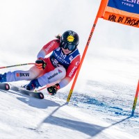 jasmina suter
