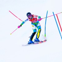 ana bucik