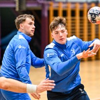 147-9-anzic v krogcu.jpg