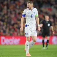 edin dzeko bih