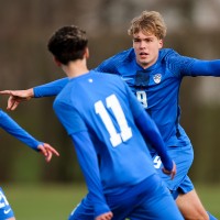 1slovenija makedonija