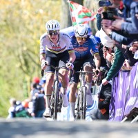 tadej pogacar van der poel