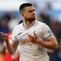 zan vipotnik swansea pm