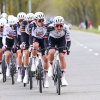 tadej pogačar mikkel bjerg