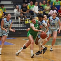 ilirija cinkarna celje