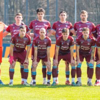 triglav skupinska br