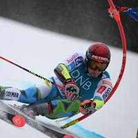 zan kranjec