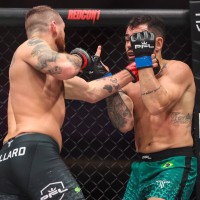 Patricky Pitbull 25