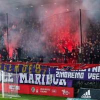 viole maribor