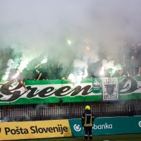 green dragons.jpg
