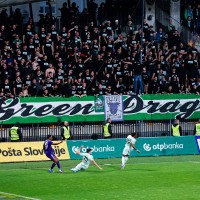 olimpija maribor green dragons navijaci.jpg
