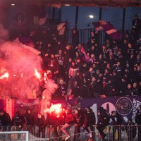 viole.jpg