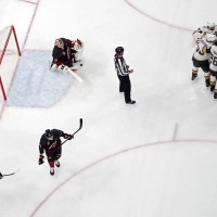 Vegas Golden Knights.jpg