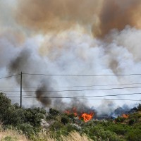 Pyrenees-Orientales.jpg