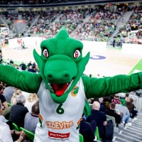 zmaj stozice.jpg