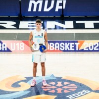 stefan joksimovic 2 fiba.png