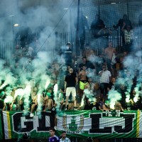 Green Dragons