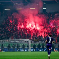 viole maribor.JPG