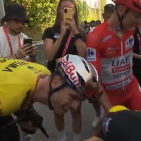 pogacar van aert.png