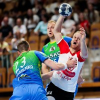 SLOvsCEL-FilipBarbalicPhoto-47.JPG