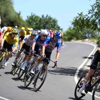 roglic.jpg