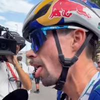 roglic.png