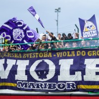 viole.jpg