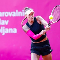 hercog.jpg