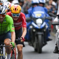 roglic.jpg