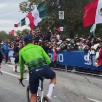 primoz roglic.png