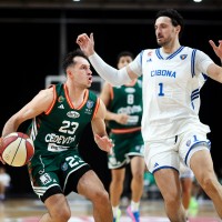 Krofic cibona