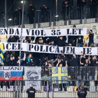 celjski grofje.jpg